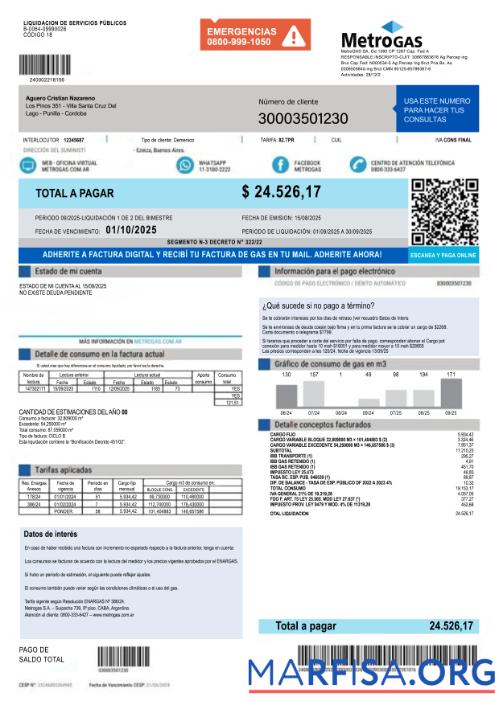 Printable Argentina MetroGAS S.A. factura de gas PSD template